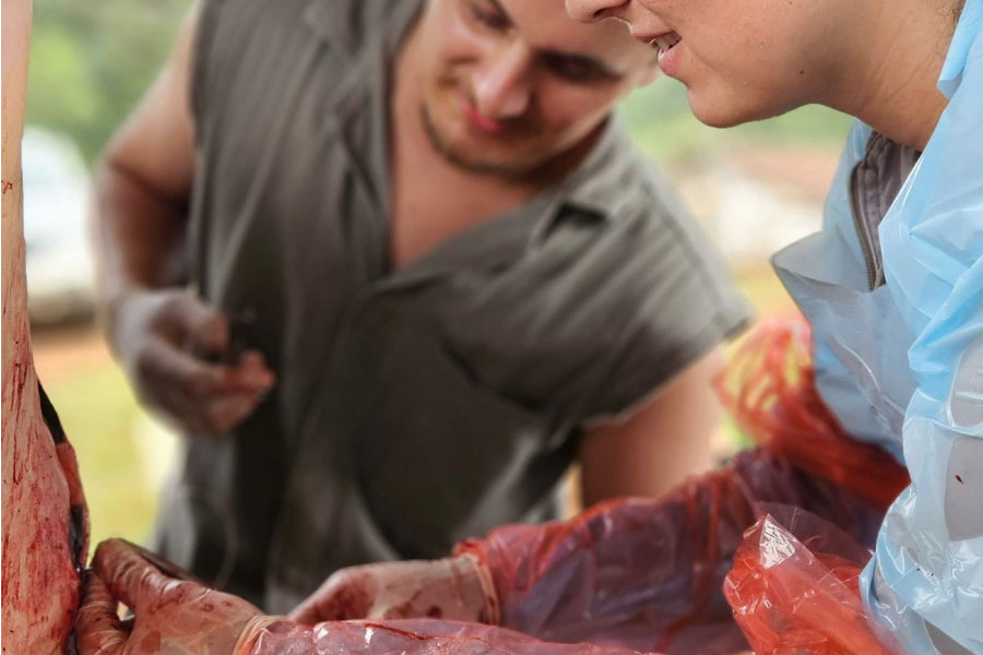 Image is not available