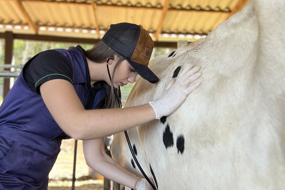 Image is not available