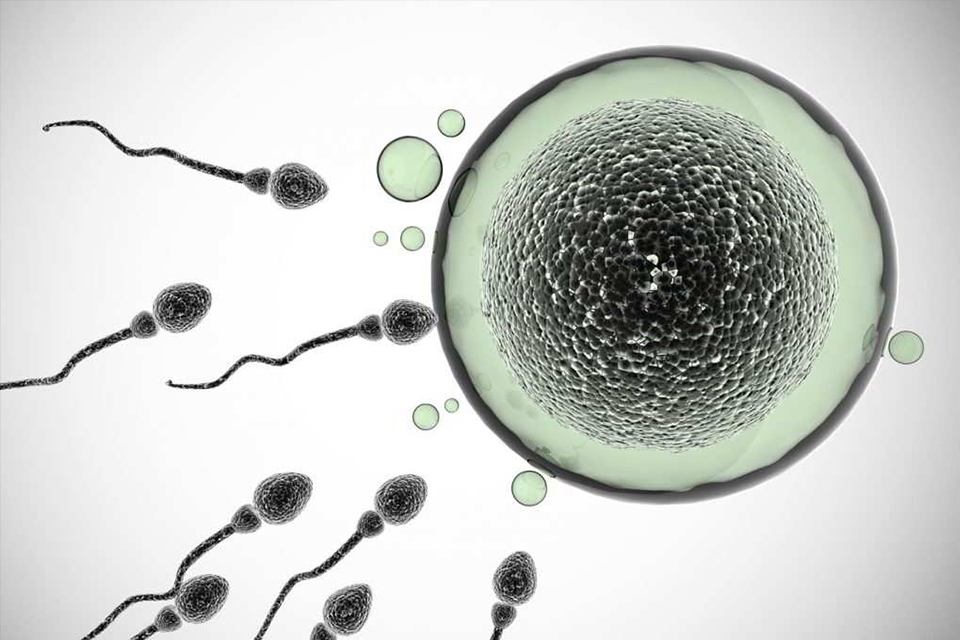 Image is not available